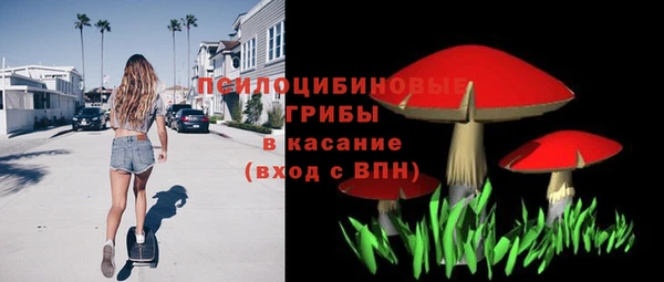 гидропоника Белокуриха